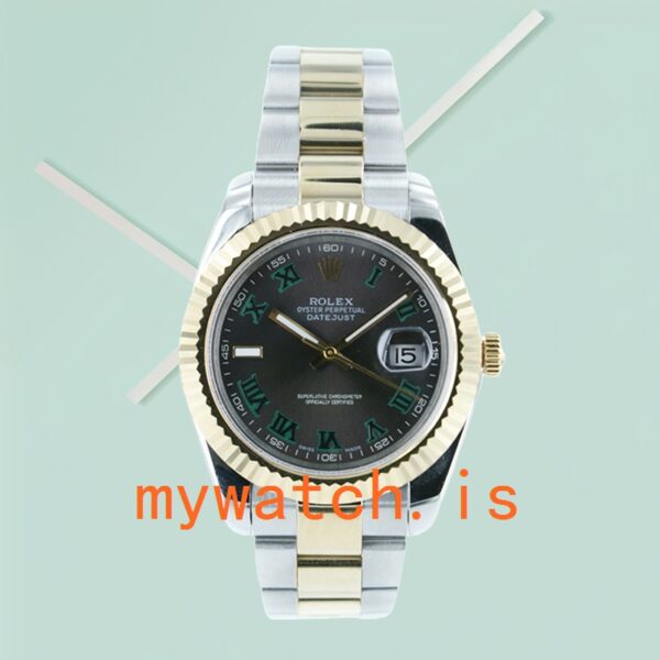Rolex Datejust 116233GYRO Men’s 36mm Silver-tone - Image 2