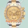 Rolex Daytona Men’s 40mm 116503CSO Champagne Dial